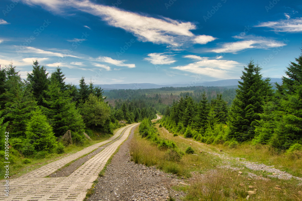 Harzer Landschaft - Wanderweg schlängelt sich bis zum Horizont zwischen Tannenbäumen und einer Waldlandschaft mit blau bewölktem Himmel
