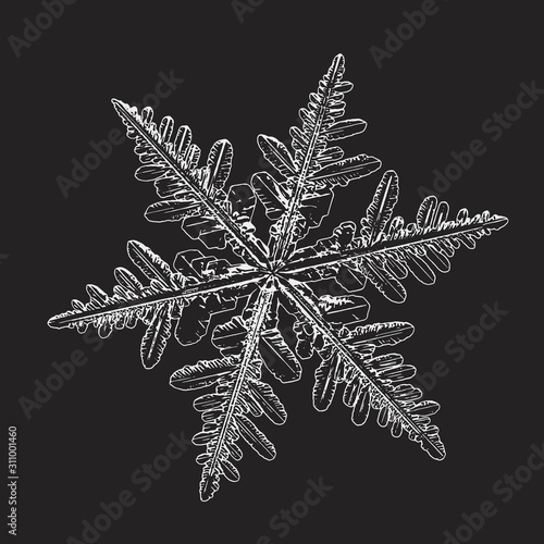 Snowflake isolated on black background. Vector illustration based on real snow crystal at high magnification: elegant stellar dendrite with six thin, fragile arms, ornate shape and complex details.