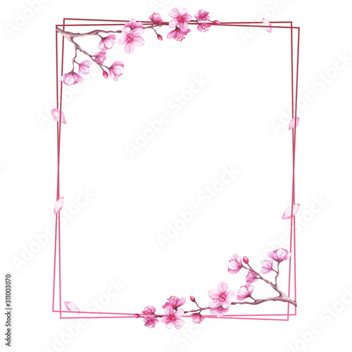  Watercolor illustration with blooming cherry. Sakura.