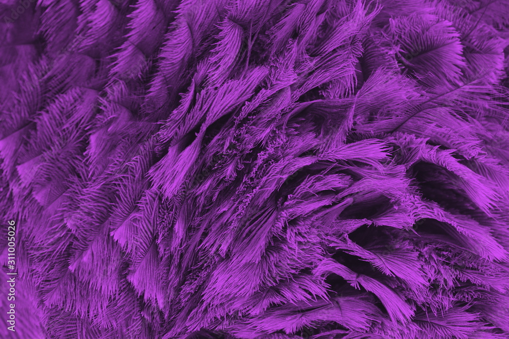 Federkleid purple 7426 Federkleid purple 7426