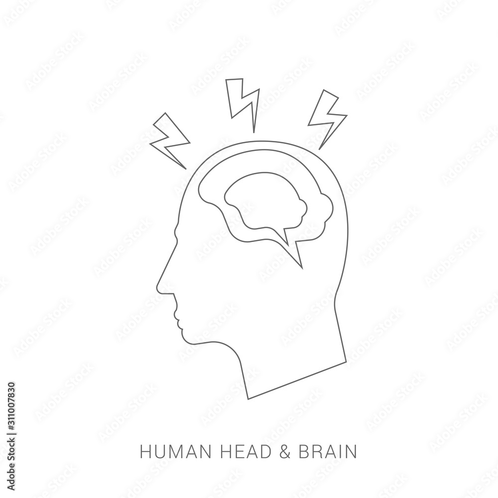 Human head with brain. Head with brain isolated