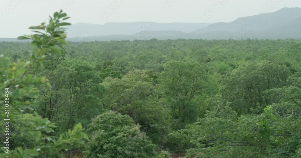 mountains tropical vegetation amazing landscapes misty background huge big mountain background