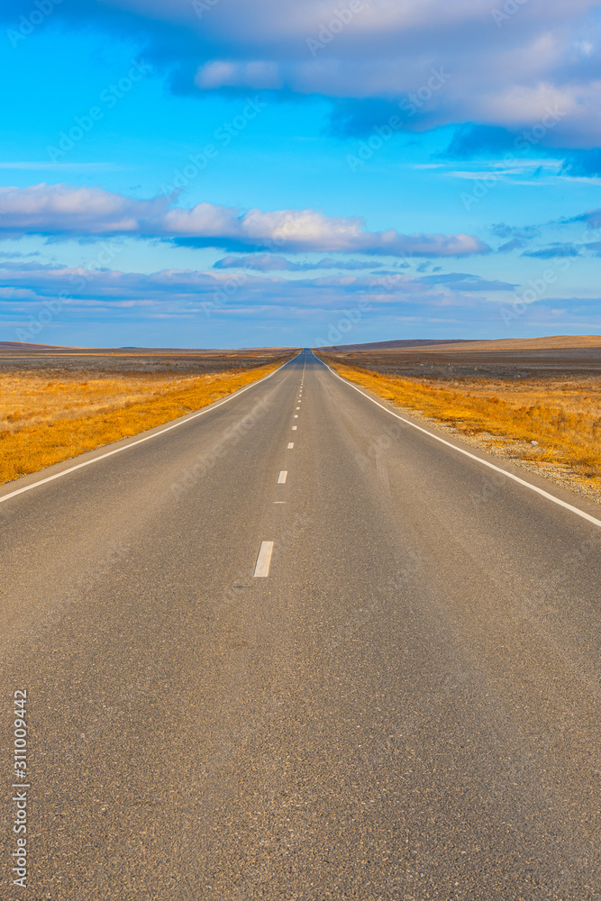 Empty asphalt road through the desert