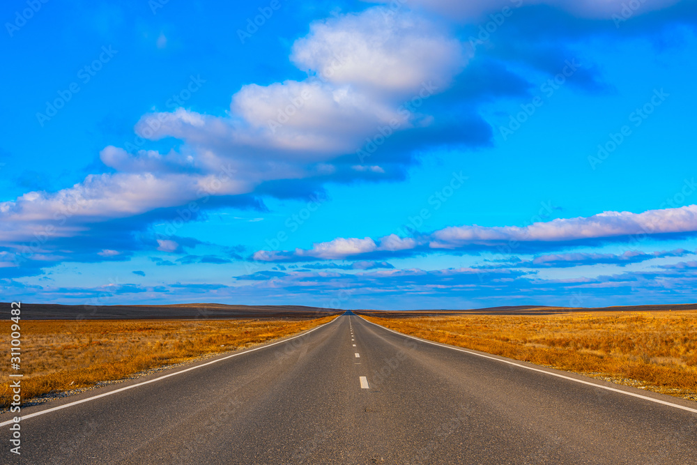 Fototapeta premium Empty asphalt road through the desert
