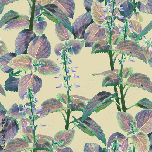 Coleus flowers seamless pattern. Artistic background. photo