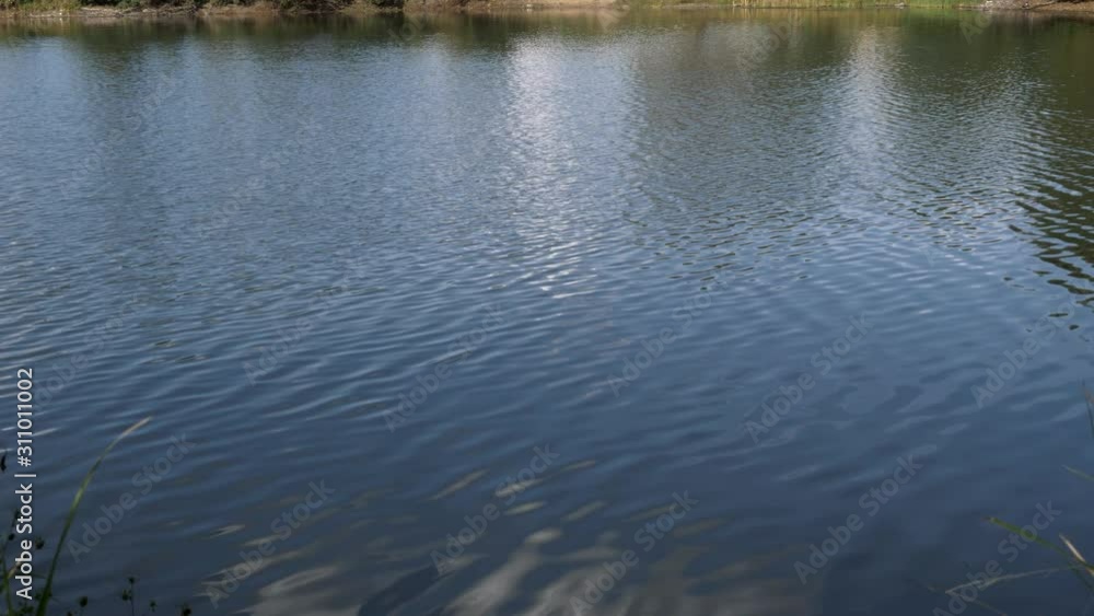 Water surface. Water surface in a lake, river or pond on a bright, sunny day. Glare on the water. Closeup.Water Caustics, ripple background. The wind creates small waves.