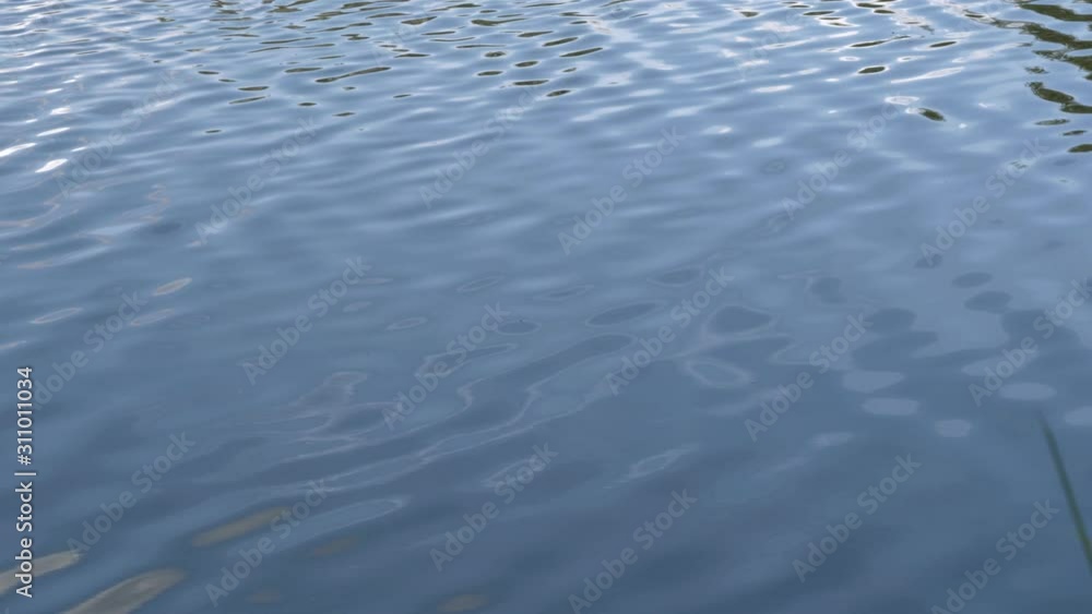 Water surface. Water surface in a lake, river or pond on a bright, sunny day. Glare on the water. Closeup.Water Caustics, ripple background. The wind creates small waves. Water surface. Water surface in a lake, river or pond on a bright, sunny day. Glare on the water. Closeup.Water Caustics, ripple background. The wind creates small waves.