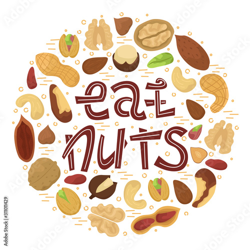 Vector illustration with flat nuts arranged in a circle shape with lettering - eat nuts.