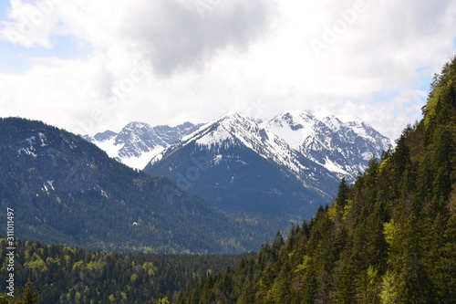 Fototapeta Naklejka Na Ścianę i Meble -  Spring the majestic Austrian Alps