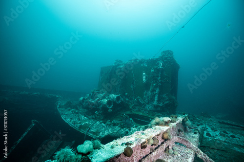 Bell Island ship wreck Newfoundland Canada