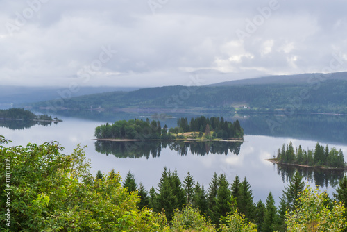 Sea scape with several small islands in Nothern Norway. Cloudy sky  mountains in the baclground and reflections in the water. In foreground green tree tops.