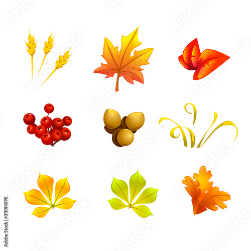 Set of autumn yellow leaves and nuts