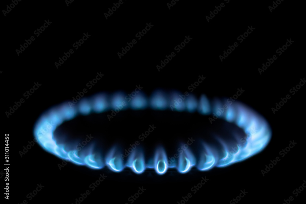 burning gas stove burner blue flame on a black background. Blue gas in the dark burning gas stove burner blue flame on a black background. Blue gas in the dark