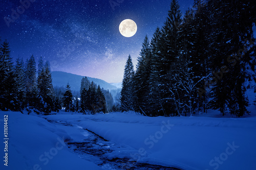 frozen and snow covered mountain river at night. carpathian winter landscape in full moon light light. spruce forest on the river bank © Pellinni