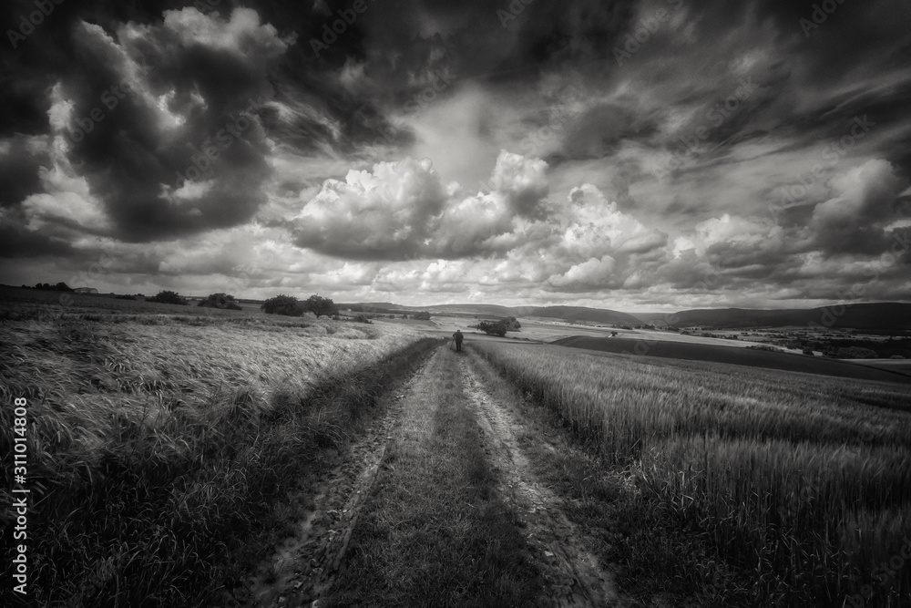 Fototapeta premium Spaziergang