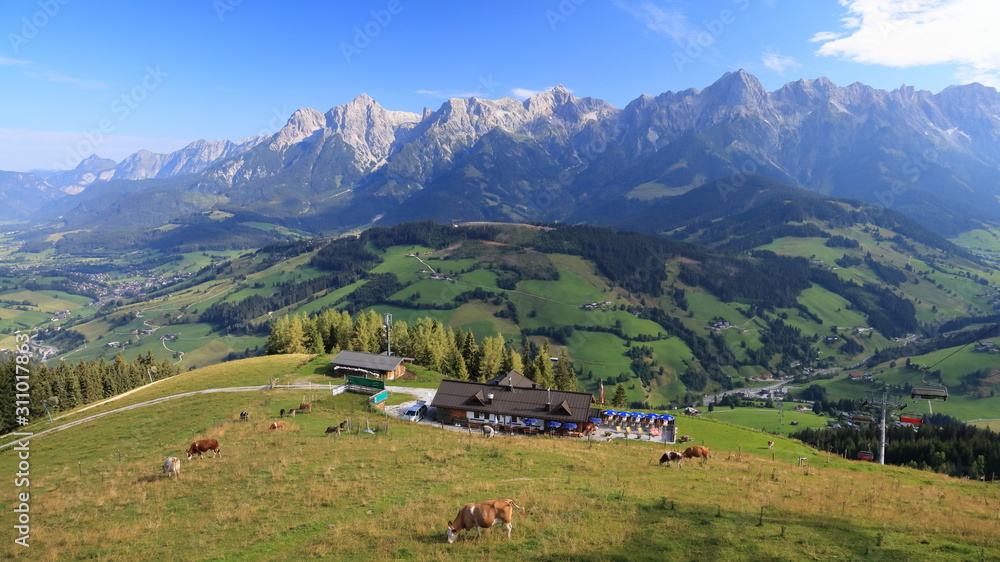 Grazing cattle in front of a mountain hut with mighty mountains in the background