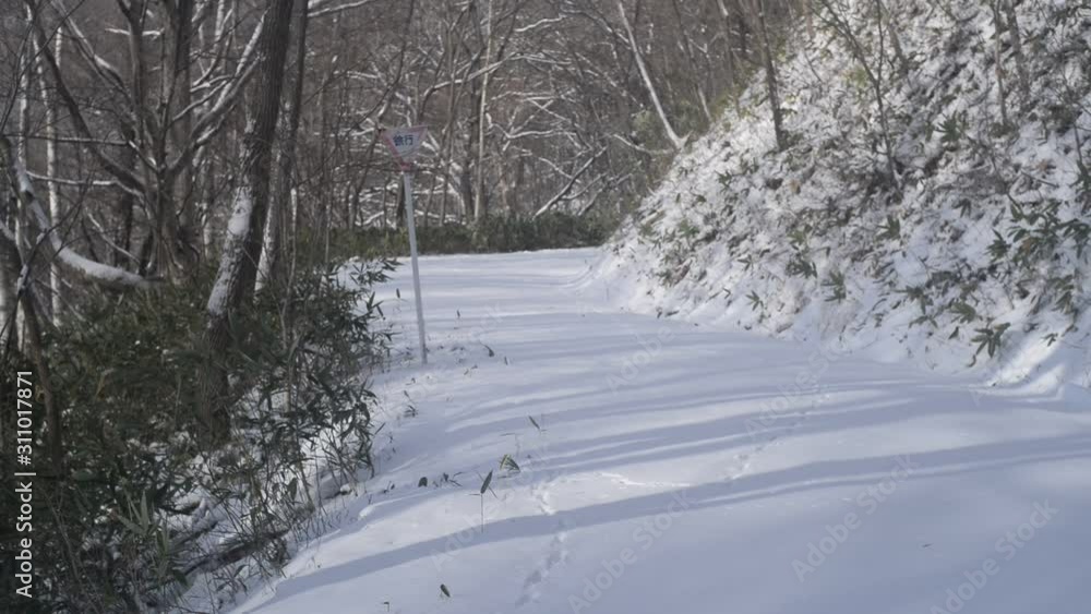 山道 山道