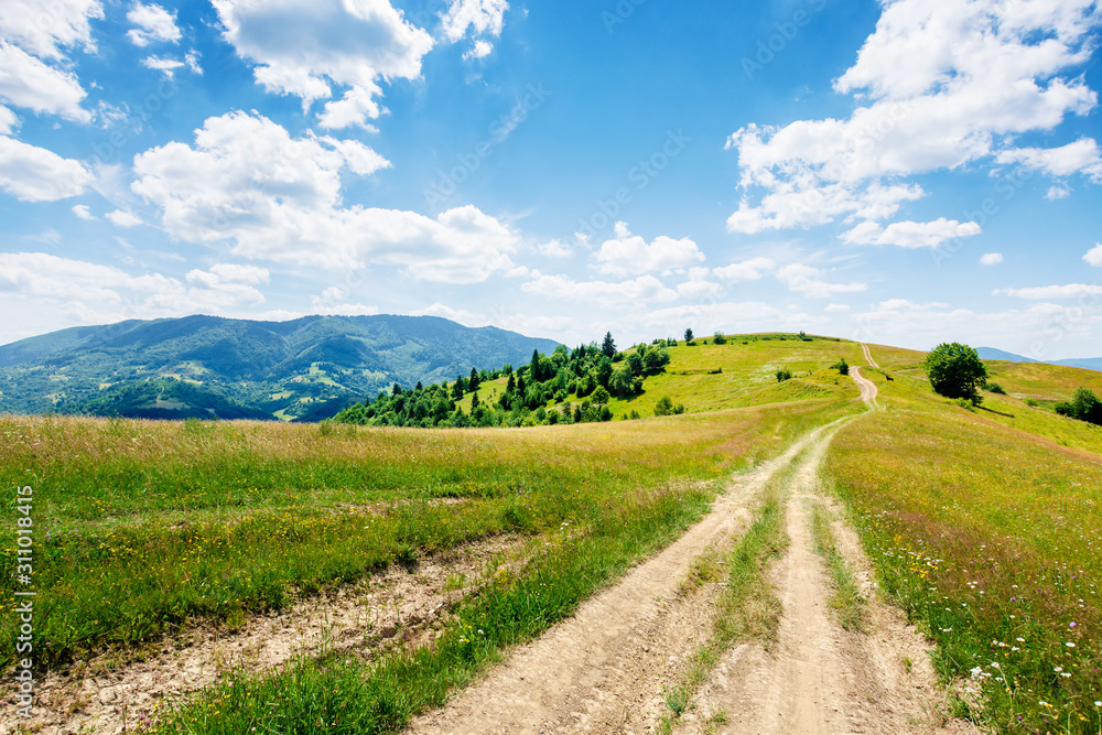 mountain rural landscape in summertime. country path winding off in to the distant ridge. rolling hills with grass fields and meadows. calm sunny weather with fluffy clouds on the blue sky - obrazy, fototapety, plakaty 