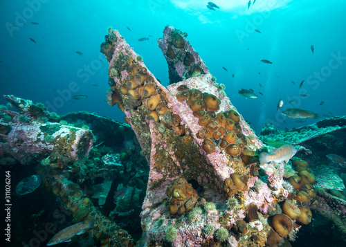 Bell Island ship wreck Newfoundland Canada