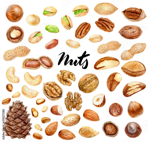 Nuts big set composition watercolor isolated on white background photo