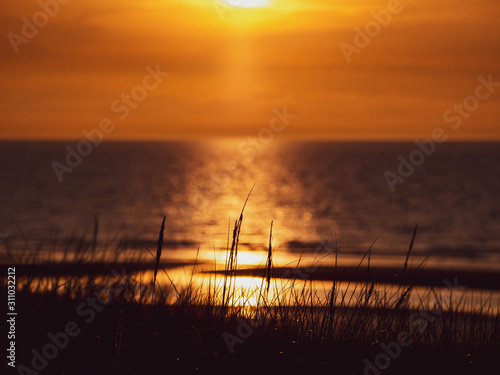 Colorful and dramatic sky over the sea and beach with marram grass in the foreground in northern France