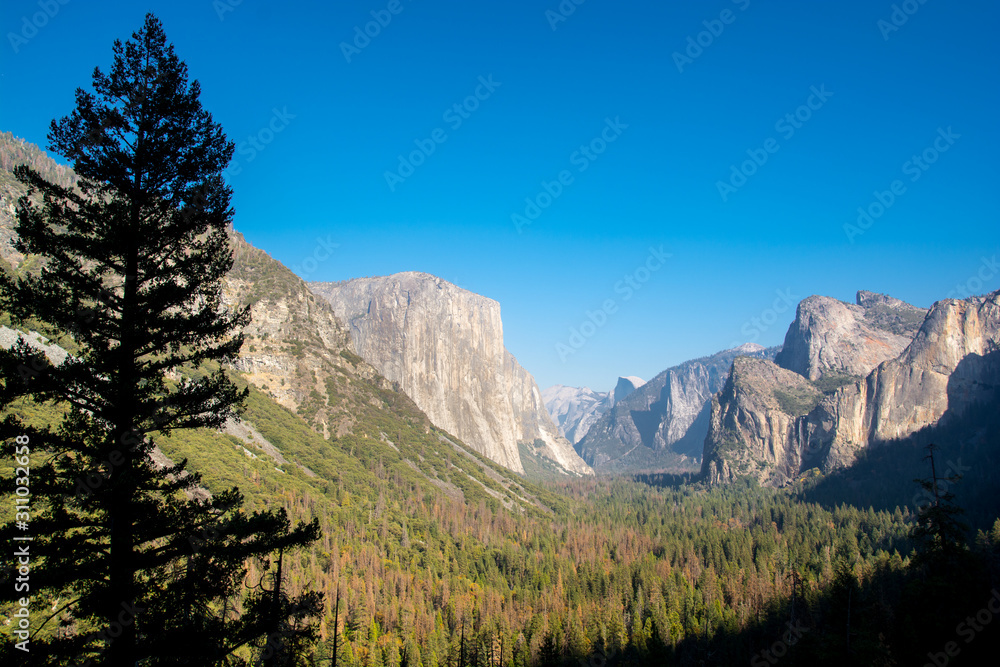 Obraz premium Morning view from the Tunnel point. Beautiful Yosemite Valley and El Capitane