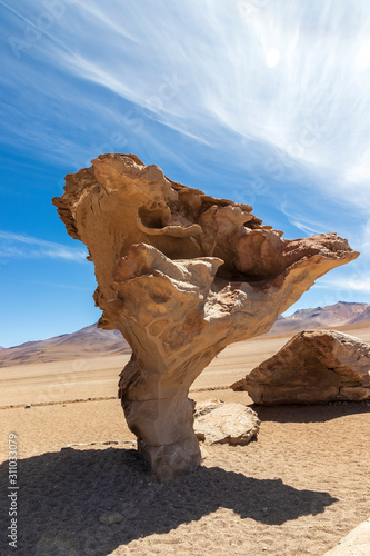 Carved stone, stone tree on the altiplano in Bolivia.
