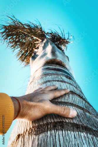 man's hand touching a palm tree with a clear blue sky