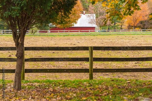 Red Barn, Horse Field and Autumn Leaves