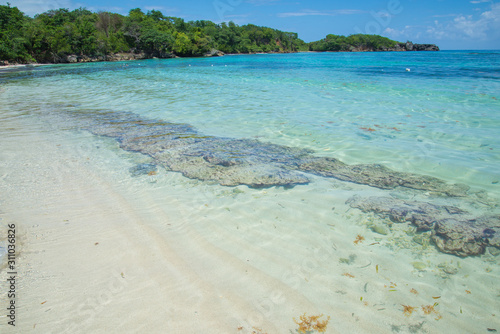 Transparent waters of Winnifred Beach, Jamaica. Green trees and blue sky in the background photo