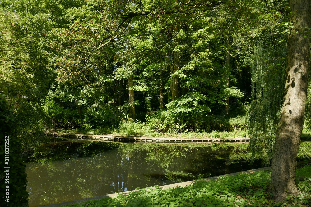 Végétation dense et luxuriante le long d'un bras d'eau au parc Josaphat à Schaerbeek Végétation dense et luxuriante le long d'un bras d'eau au parc Josaphat à Schaerbeek