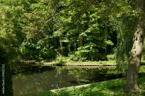 Fototapeta Naklejka Na Ścianę i Meble -  Végétation dense et luxuriante le long d'un bras d'eau au parc Josaphat à Schaerbeek