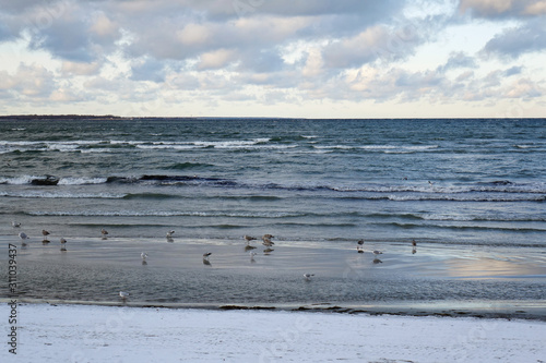 baltic sea beach in winter