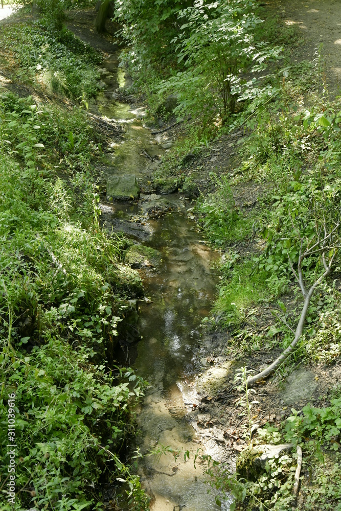 Le fin filet d'eau du Maelbeek coulant peu après sa source au parc Josaphat à Schaerbeek Le fin filet d'eau du Maelbeek coulant peu après sa source au parc Josaphat à Schaerbeek
