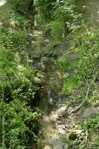 Le fin filet d eau du Maelbeek coulant peu apr  s sa source au parc Josaphat    Schaerbeek