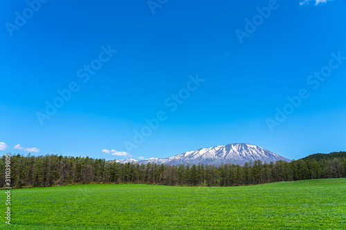 Beauty nature view, snowcapped mountain range in background, forest and green grassland in foreground with clear blue sky in springtime season sunny day morning, beauty rural natural landscape scene photo