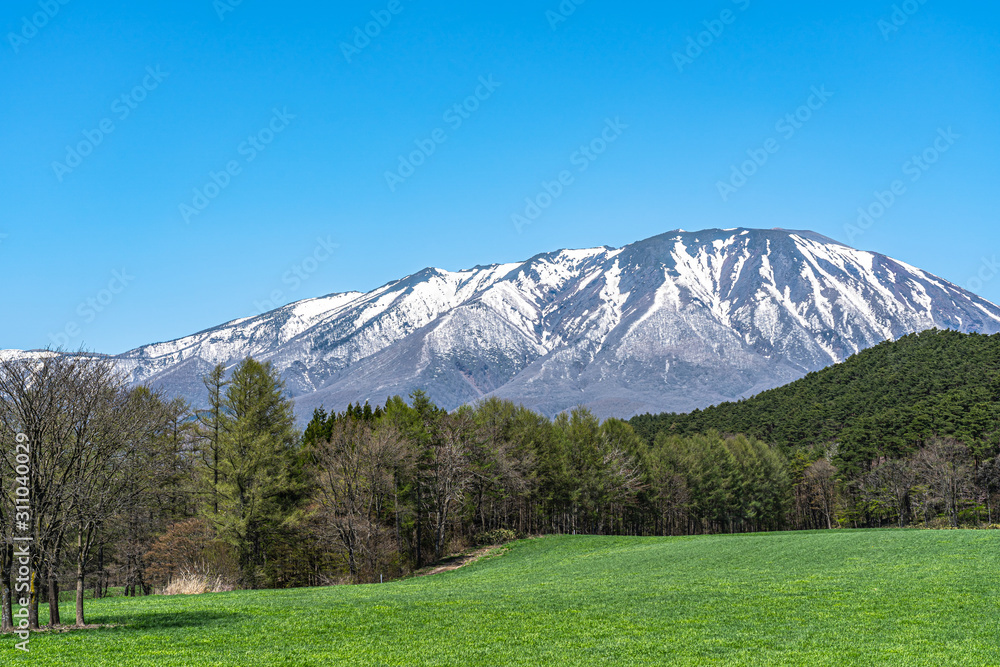 Obraz premium Beauty nature view, snowcapped mountain range in background, forest and green grassland in foreground with clear blue sky in springtime season sunny day morning, beauty rural natural landscape scene