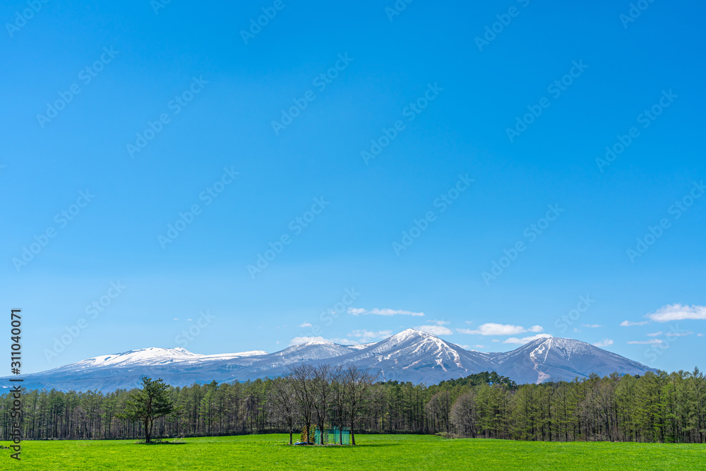 Obraz premium Beauty nature view, snowcapped mountain range in background, forest and green grassland in foreground with clear blue sky in springtime season sunny day morning, beauty rural natural landscape scene