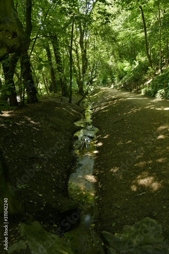 Le Maalbeek en aval de sa source dans une zone très boisée du parc Josaphat à Schaerbeek photo