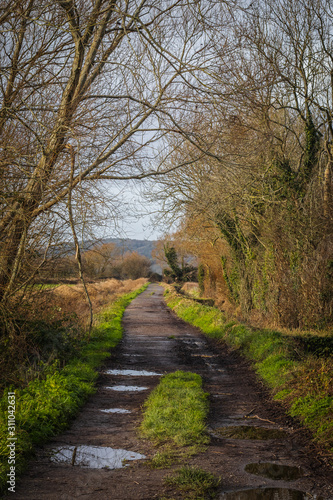 Path in the country