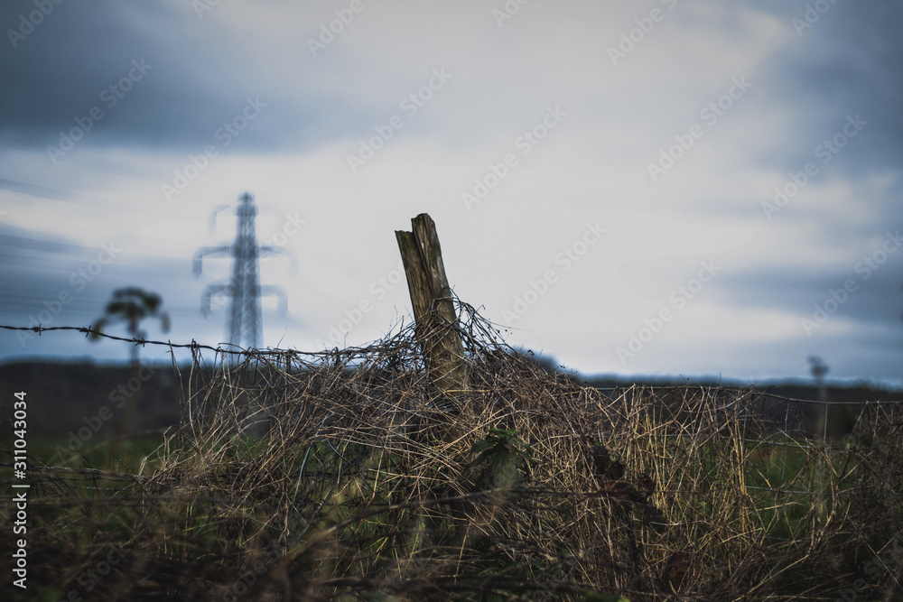 Post in a field