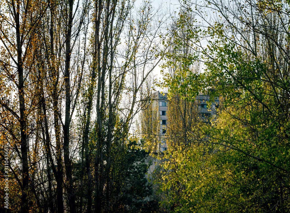 Obraz premium large house on the street of the abandoned city of Chernobyl