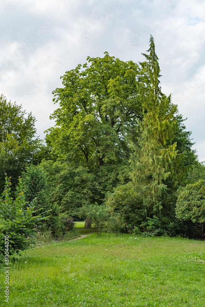 idyllic meadow with tree in a city park idyllic meadow with tree in a city park