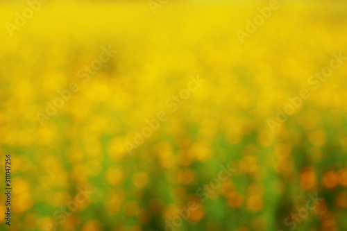 Mustard plant with blur background.