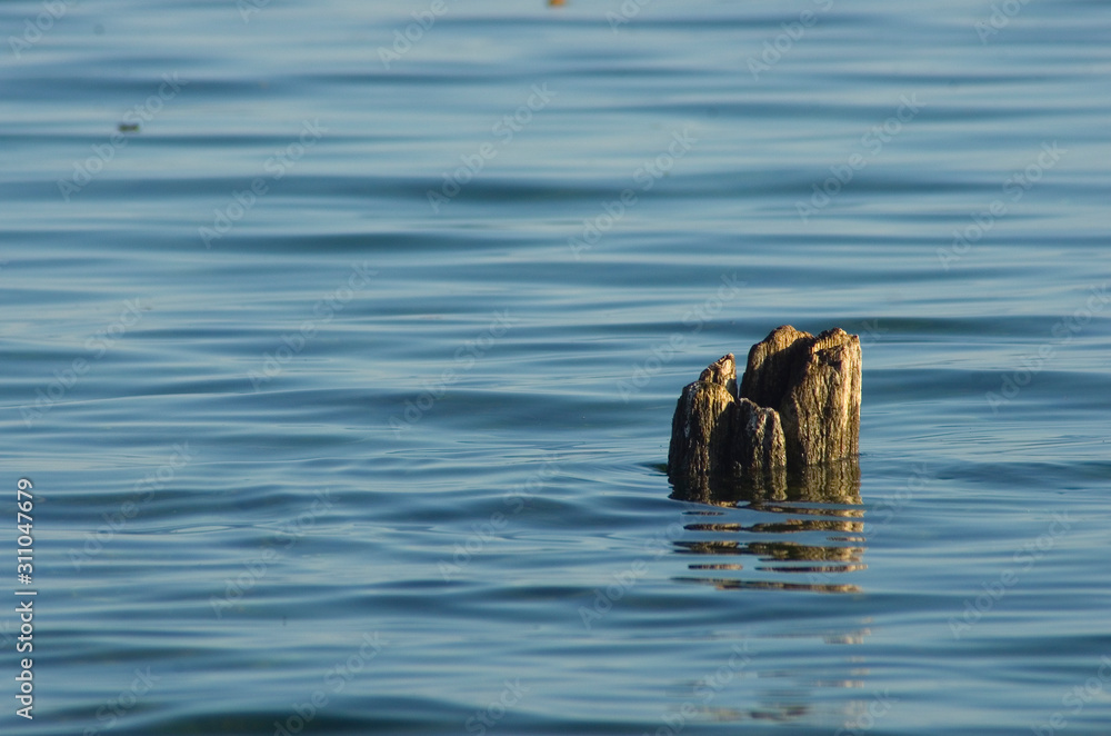 Fototapeta premium wasser