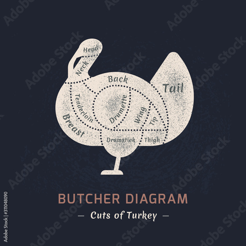 Cutting turkey meat painted in a vector in a flat retro styles.