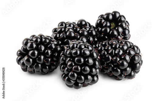 blackberry isolated on a white background closeup