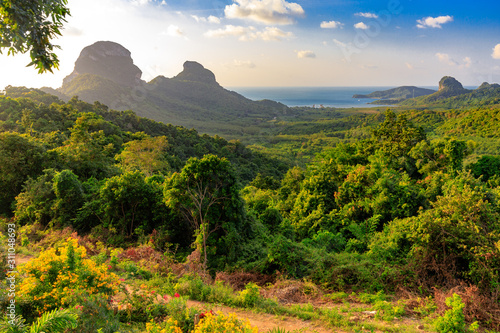 Tropical island landscape