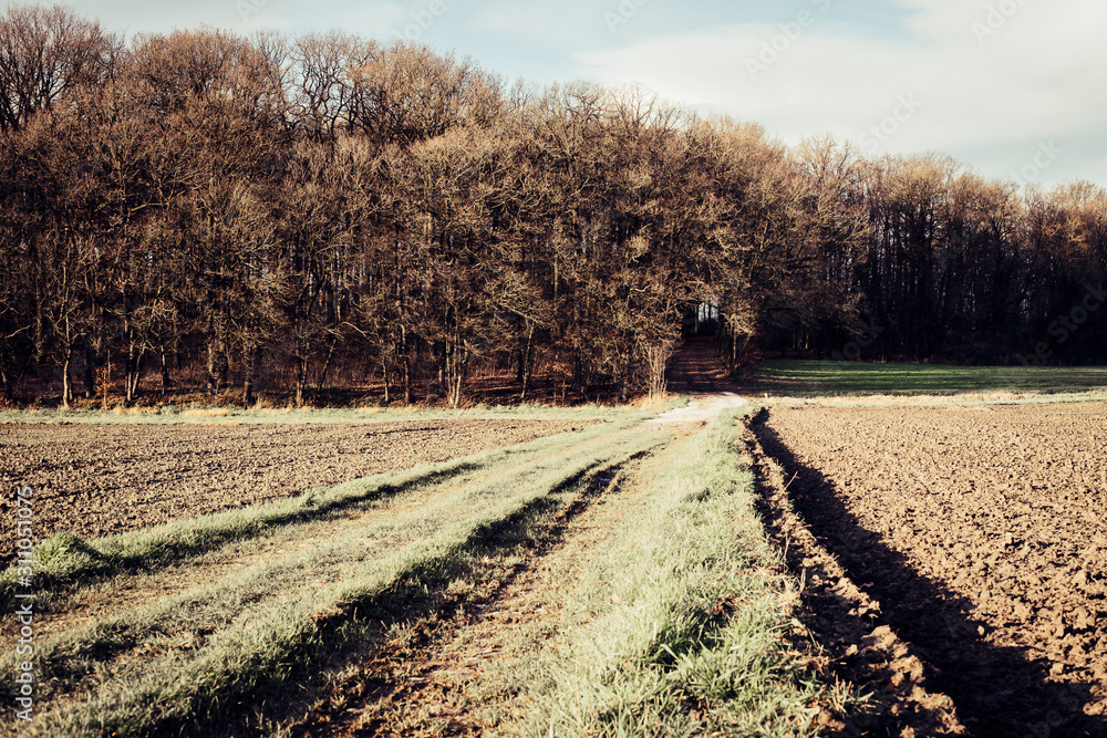 Nature Landscape Nature Landscape
