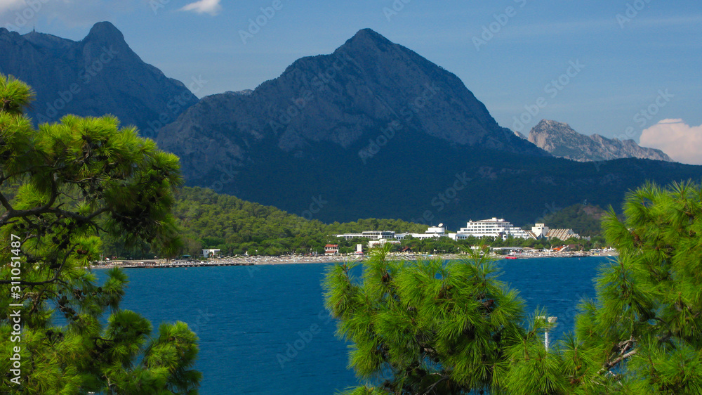 top view of the beach by the sea, mountains with a pine branch in the foreground
